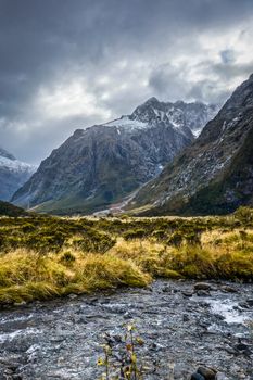 River in Fiordland national park, New Zealand southland