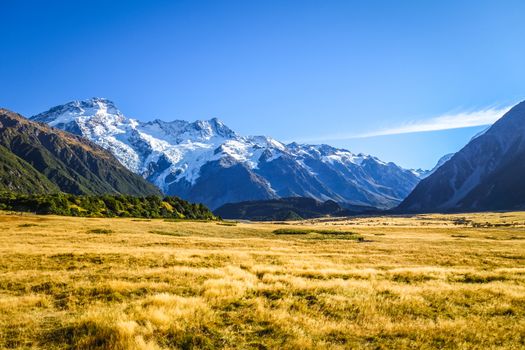 Mount Cook valley alpine landscape, New Zealand