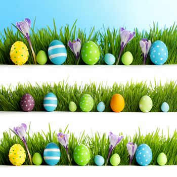 Set of easter eggs in fresh green grass isolated on white background