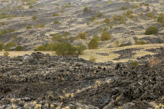 View of a unique valley on the Etna volcano. With yellow spots and green trees