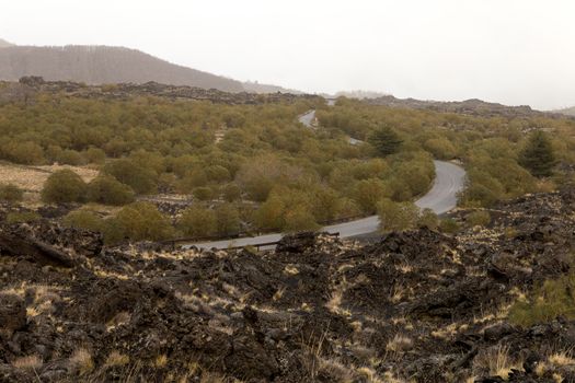 View of a unique valley on the Etna volcano. With yellow spots and green trees