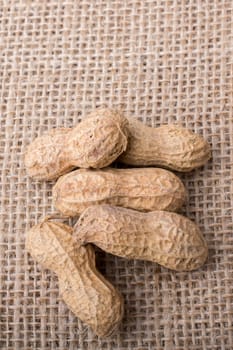 Peanuts with shell on linen canvas background