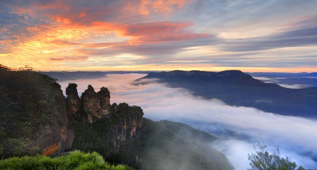 Sensational sunrise with textured cloud and a rare dense fog in the Jamison Valley lightly coloured with the sunrise sky.  
Views over Queen Elizabeth Lookout to the famous landmark icon TheThree Sisters.  In the distance lies Mount Solitary.  Location Echo Point Katoomba Blue Mountains Australia 