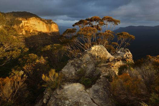 Last sunlight across tghe escarpment Blue Mountains Australia