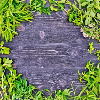 Frame of leaves herbs of fenugreek, rue, savory, tarragon, thyme against the background of black wooden boards