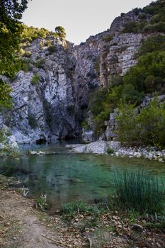 Mysterious mountainous jungle with trees leaning over fast stream with rapids. Magical scenery of rainforest and river with rocks. Wild, vivid vegetation of tropical forest.