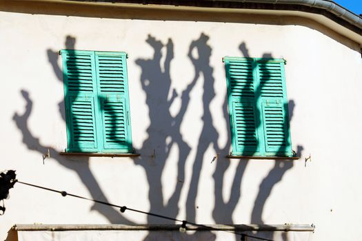 Shadow of a Plane Tree on The Wall of a House in Menton, France
