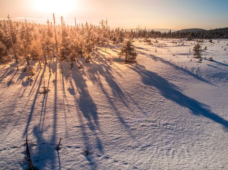 Winter in Jizera Mountains at sunset time with long shadows of trees, Czech Republic.