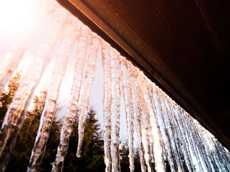 Many bright and transparent icicles hanging on the roof and illuminated by sun.