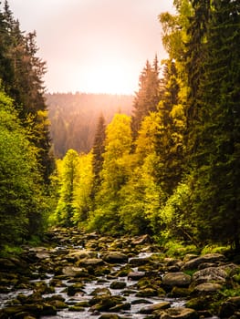 Mountain river with huge stones in the forest. Vydra river, Sumava National Park, Czech Republic.