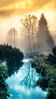 Foggy morning in the mountains with first sun beams. Trees reflected in the water.