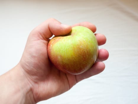 a wild picked fresh apple in hand on white background; Essex; UK