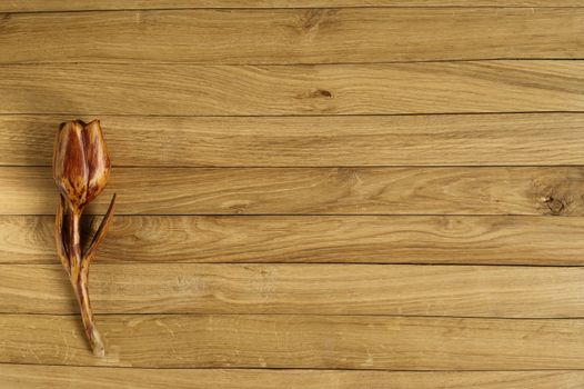 old boards of oak. in the lower left corner is a wooden flower . suitable for background.