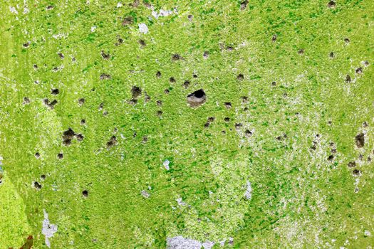 Green repair wall with bullets shoot holes background. Rough housework wallpaper design backdrop. Color room interior decoration texture template