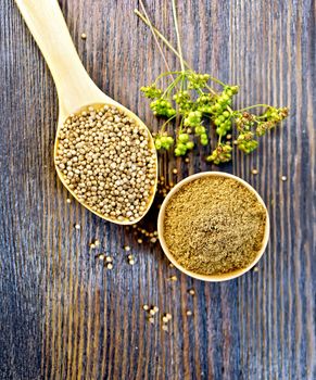 Coriander seeds in a spoon and ground in the bowl, umbrella green immature seeds on a background of wooden boards on top