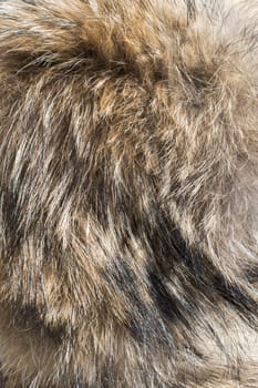 Decorative animal  fur as a background texture