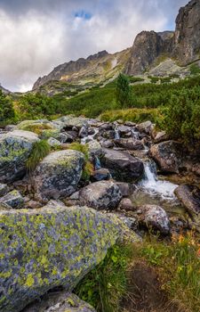 Mountain Landscape with Vegetation and Creek in Foreground on Cloudy Day. Mlynicka Valley, High Tatra, Slovakia.