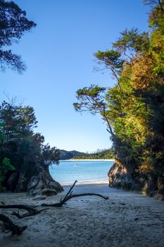 Creek and beach at sunset in Abel Tasman National Park. New Zealand