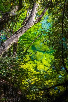 River in Abel Tasman Coast Track. National park. New Zealand