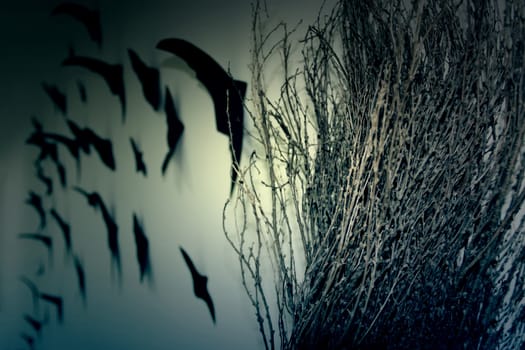 Halloween background with broom and bat. photo