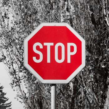Stop traffic sign - white text in red octagonal shape. The most known traffic sign.