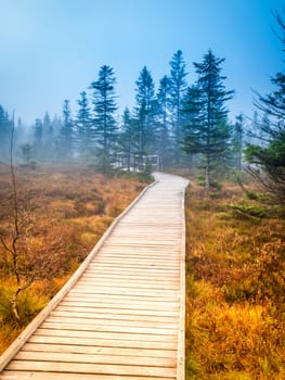 Wooden path in peat bog Bozi Dar, Czech Republic. Colorful autumn landscape scene