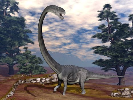 Omeisaurus dinosaur walking among pine trees - 3D render
