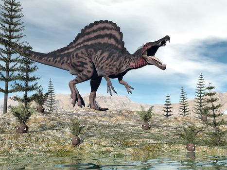 One spinosaurus dinosaur walking in the desert among cycaeodia and calamite plants - 3D render