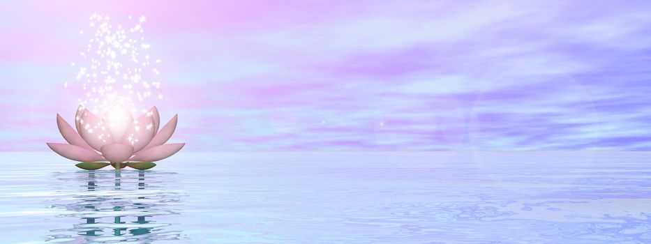 Pink lily flower with lots of stars upon water by pink day - 3D render