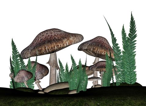 Brown mushrooms and vegetation isolated in white background - 3D render