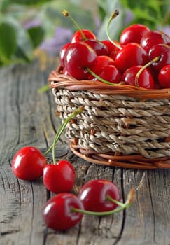 ripe sweet cherries in a basket