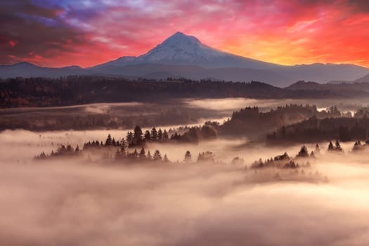 Foggy Sunrise over Sandy River Valley and Mount Hood in Oregon