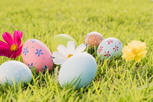 Happy easter!  Closeup Colorful Easter eggs on green grass field during sunset background.