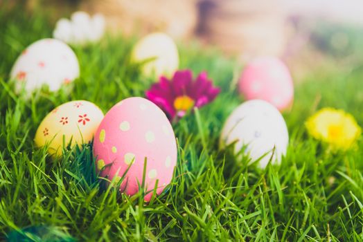 Happy easter!  Closeup Colorful Easter eggs in nest on green grass field during sunset background.