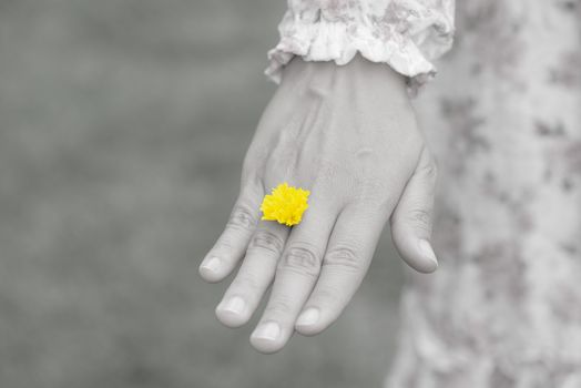 Young woman hand wearing Yellow flower represent of wedding ring on grass green background. Broken hearted, Love forever, Wedding and Valentines day concept.