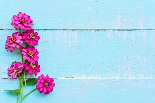 Top view  of pink double click cosmos flower on blue and white color wooden background with pastel vintage style. Broken hearted, Love, Wedding and Valentines day concept.