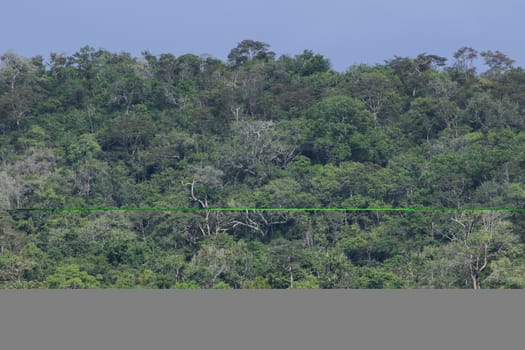 top view of forest in thailand and blue sky.