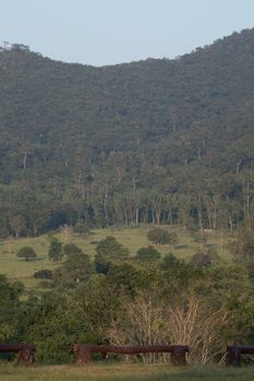 view of forest in thailand and  sky is many colour at sunset .