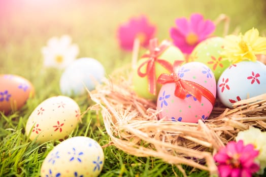 Happy easter!  Closeup Colorful Easter eggs in nest on green grass field during sunset background.