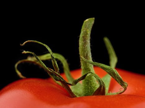 close-up of a fresh red tomato on black background