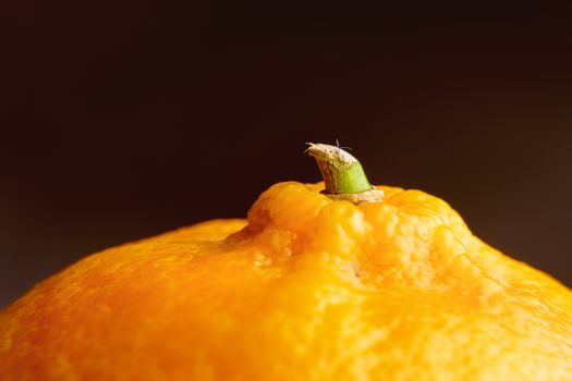 orange mandarin fruit close-up on dark background