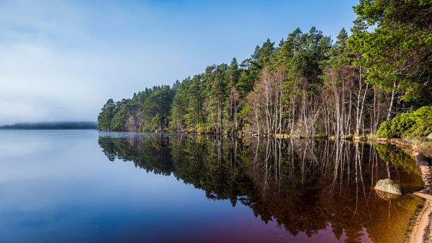 Loch Garten in the Strathspey area of the Cairngorms National Park, in Scotland. It is surrounded by the tall Caledonian pine trees of the Abernethy Forest
