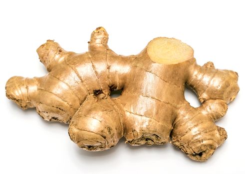 Ginger Root Meaning Spiced Herbal And Fresh