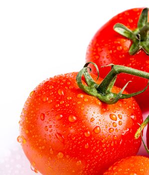 Fresh red tomatoes close up on a white background