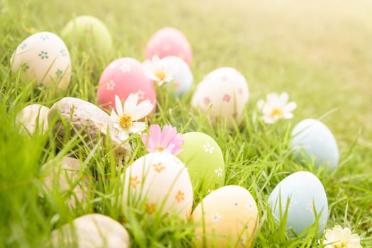 Happy easter!  Closeup Colorful Easter eggs in nest on green grass field during sunset background.