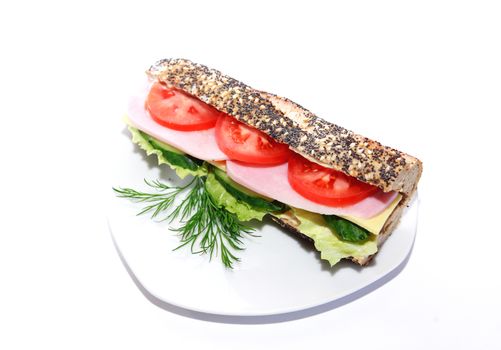 Freshness delicious sandwich on plate against white background