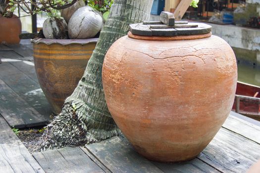 Ancient water jar put under the coconut
