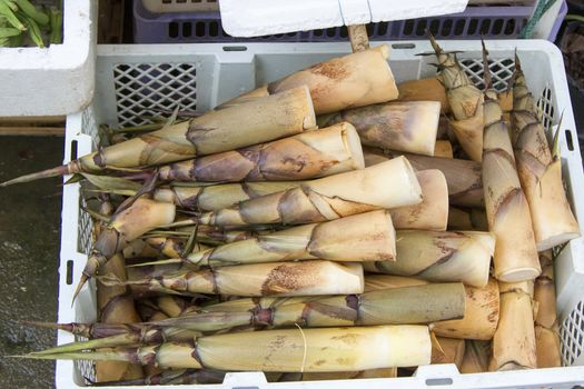 Bamboo shoots in a basket