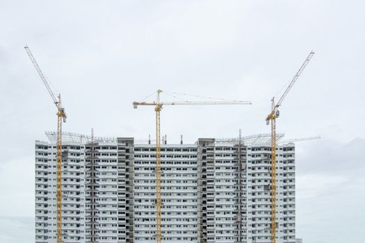 Several cranes are building a building with a white background.