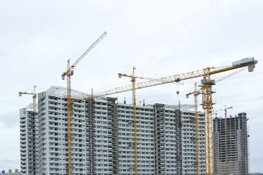 Several cranes are building a building with a white background.